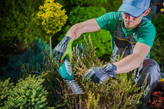 landscaping services Rochester